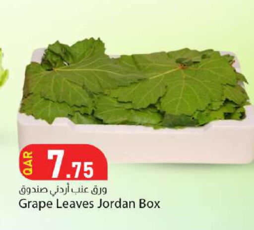 available at دانا ماركت in قطر - الشمال