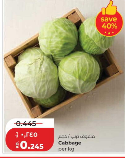 Cabbage available at Lulu Hypermarket  in Kuwait - Jahra Governorate
