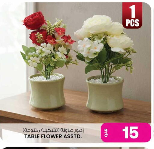 available at أنصار جاليري in قطر - الوكرة