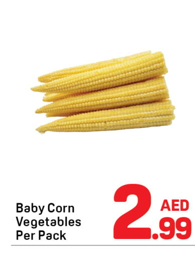 available at دي تو دي in الإمارات العربية المتحدة , الامارات - دبي