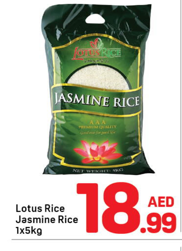 available at دي تو دي in الإمارات العربية المتحدة , الامارات - دبي