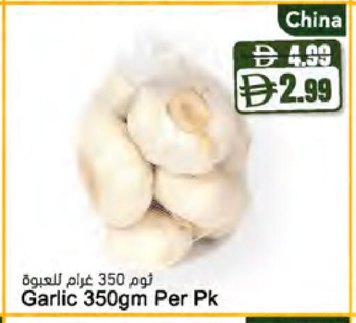 Garlic from China available at Almaya Supermarkets in UAE - Ras al Khaimah