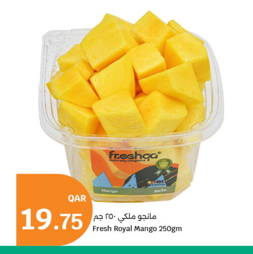 Mango available at سيتي هايبرماركت in قطر - الضعاين