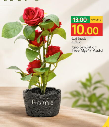 available at Gulf Food Center in Qatar - Al Daayen