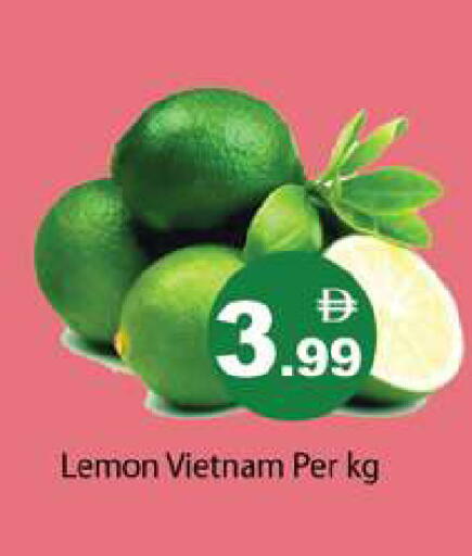 Lemon from Vietnam available at Gulf Hypermarket LLC in UAE - Ras al Khaimah