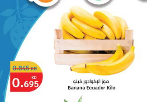 Banana from Ecuador available at City Hypermarket in Kuwait - Jahra Governorate