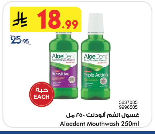 available at بن داود in مملكة العربية السعودية, السعودية, سعودية - خميس مشيط