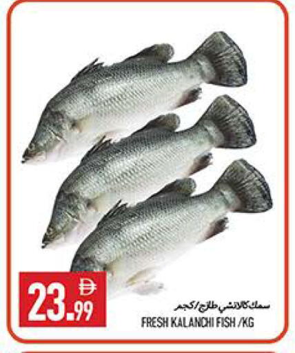 available at  روابي ماركت عجمان in الإمارات العربية المتحدة , الامارات - الشارقة / عجمان