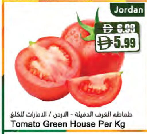 Tomato from Jordan available at Almaya Supermarkets in UAE - Ras al Khaimah
