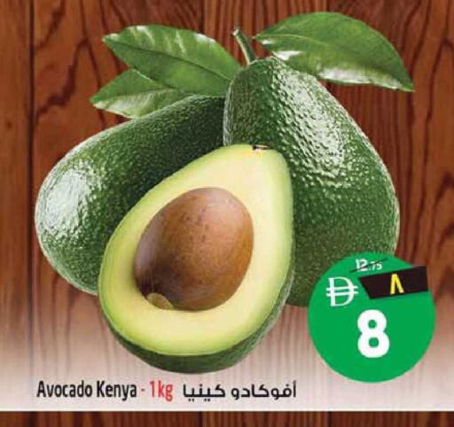 Avocado from Kenya available at سفاري هايبرماركت in الإمارات العربية المتحدة , الامارات - الشارقة / عجمان