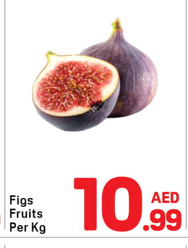 available at دي تو دي in الإمارات العربية المتحدة , الامارات - دبي