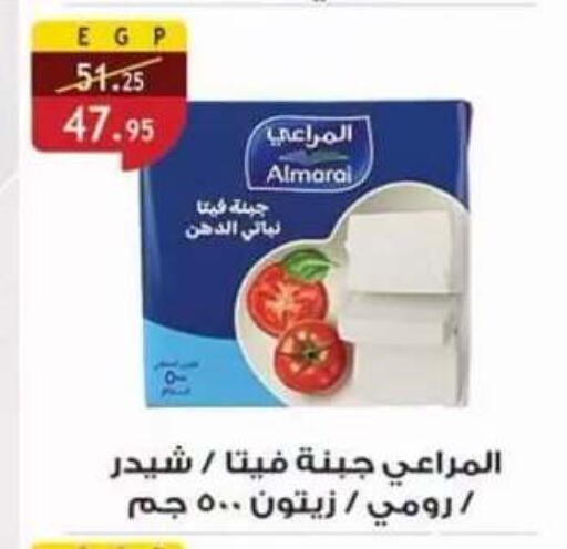 available at Al Rayah Market   in Egypt - Cairo