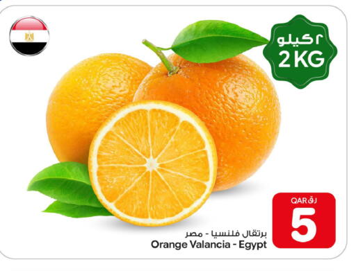Orange from Valancia Egypt available at بن داود in قطر - الدوحة