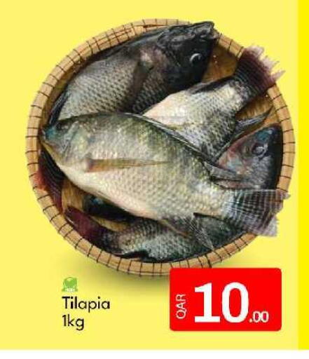 available at جي-ماكس هايبرماركت in قطر - الوكرة