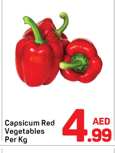 Capsicum available at دي تو دي in الإمارات العربية المتحدة , الامارات - دبي