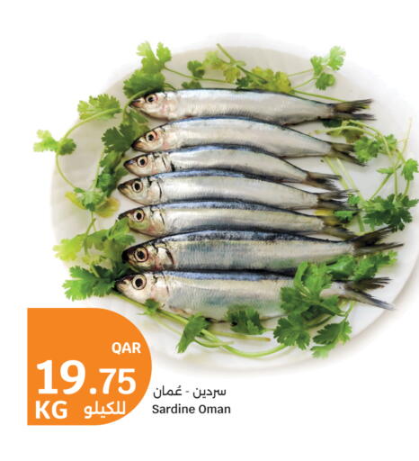 available at سيتي هايبرماركت in قطر - الضعاين