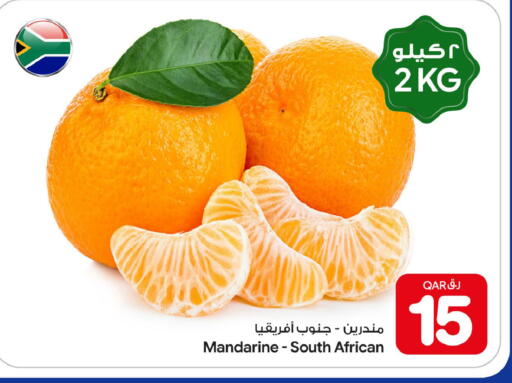 from South Africa available at بن داود in قطر - الدوحة