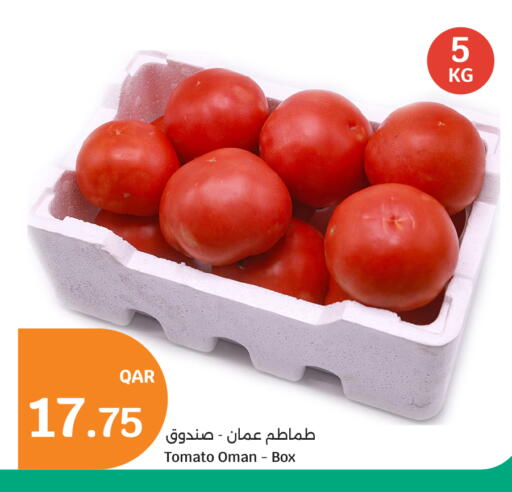 Tomato from Oman available at City Hypermarket in Qatar - Al Wakra