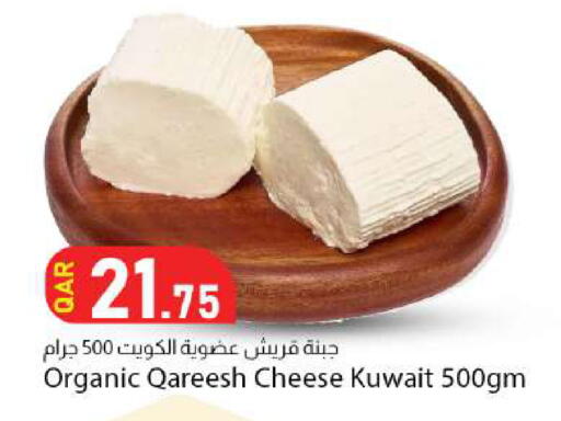 available at دانا ماركت in قطر - الضعاين
