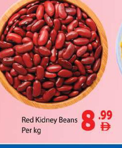 available at Gulf Hypermarket LLC in UAE - Ras al Khaimah