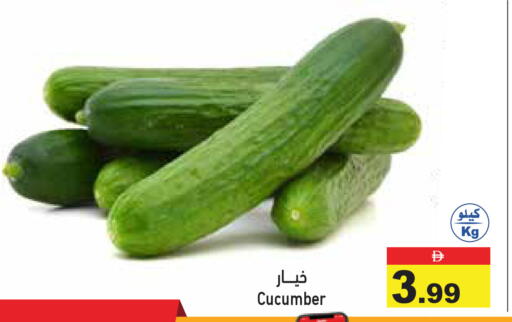 Cucumber available at أسواق رامز in الإمارات العربية المتحدة , الامارات - رَأْس ٱلْخَيْمَة