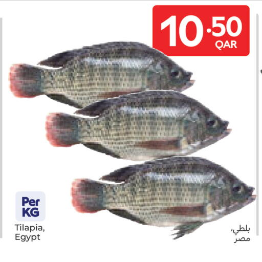available at كارفور in قطر - أم صلال