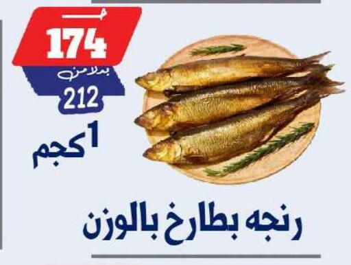 available at بندق ماركت in Egypt - القاهرة