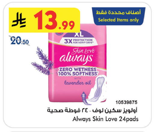 available at بن داود in مملكة العربية السعودية, السعودية, سعودية - خميس مشيط