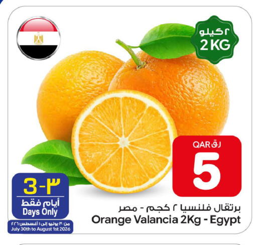 Orange from Valancia Egypt available at بن داود in قطر - الدوحة