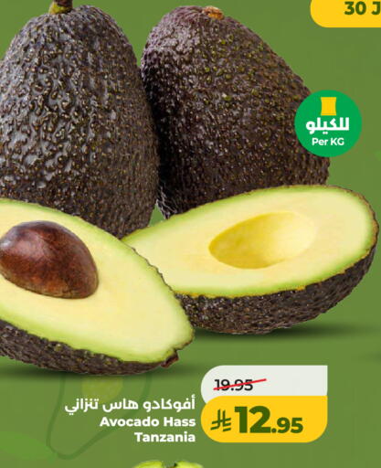 Avocado from Tanzania available at LULU Hypermarket in KSA, Saudi Arabia, Saudi - Al Khobar