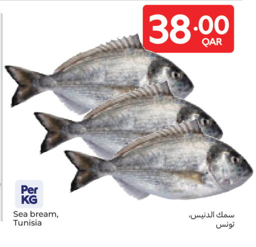 available at كارفور in قطر - أم صلال