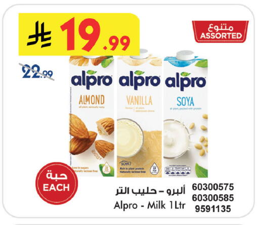 Vanilla available at بن داود in مملكة العربية السعودية, السعودية, سعودية - جدة