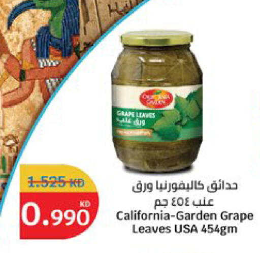 available at City Hypermarket in Kuwait - Jahra Governorate