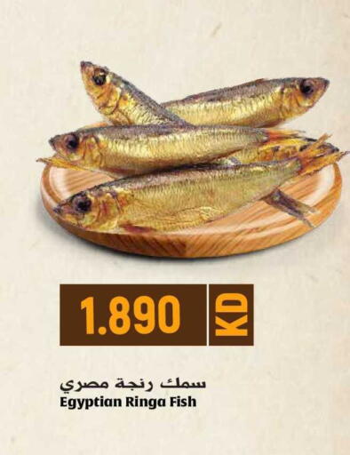 available at Grand Hyper in Kuwait - Jahra Governorate