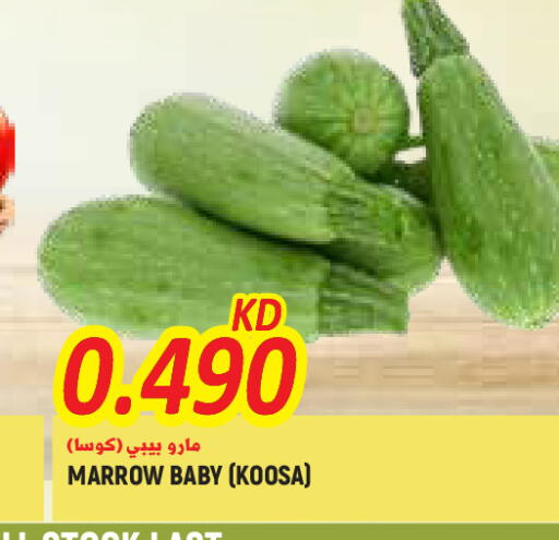 Marrow available at  سابساه هايبر ماركت in الكويت - محافظة الجهراء