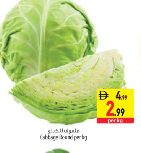 Cabbage available at السفير ماركت in الإمارات العربية المتحدة , الامارات - الشارقة / عجمان