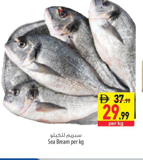 available at السفير ماركت in الإمارات العربية المتحدة , الامارات - الشارقة / عجمان