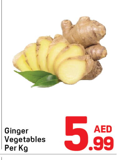Ginger available at دي تو دي in الإمارات العربية المتحدة , الامارات - دبي