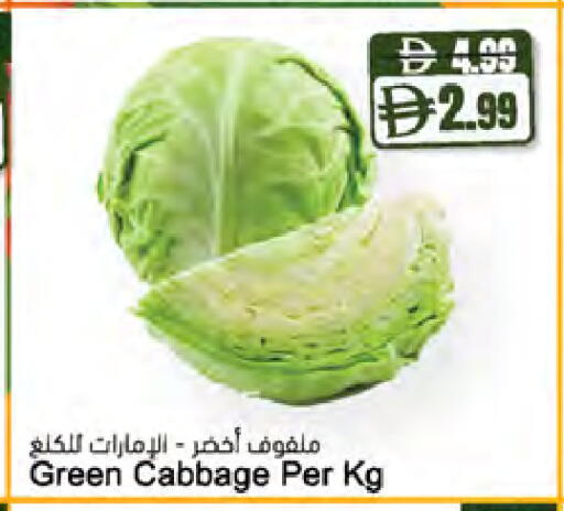 Cabbage available at Almaya Supermarkets in UAE - Ras al Khaimah
