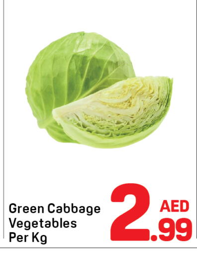 Cabbage available at دي تو دي in الإمارات العربية المتحدة , الامارات - دبي