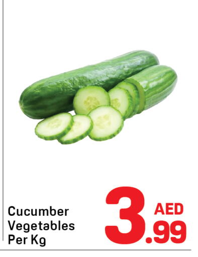 Cucumber available at دي تو دي in الإمارات العربية المتحدة , الامارات - دبي