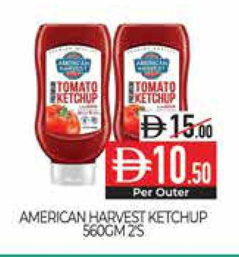 Tomato available at Delice Supermarket in UAE - Abu Dhabi