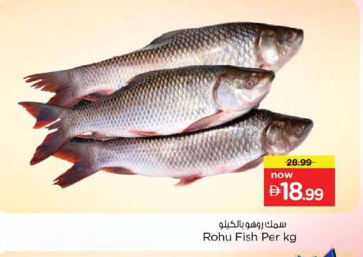 available at Nesto Hypermarket in UAE - Dubai