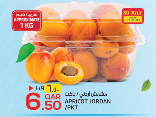 Apricot from Jordan available at Kenz Mini Mart in Qatar - Al Khor