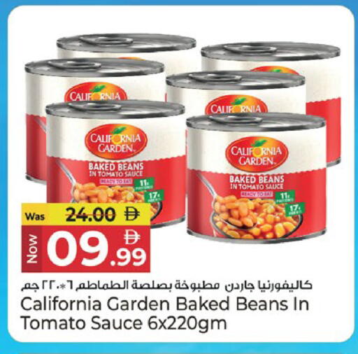 Tomato available at كنز هايبرماركت in الإمارات العربية المتحدة , الامارات - الشارقة / عجمان