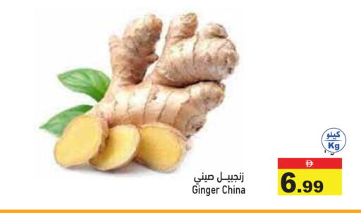 Ginger from China available at أسواق رامز in الإمارات العربية المتحدة , الامارات - رَأْس ٱلْخَيْمَة