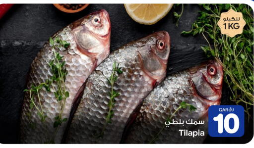 available at بن داود in قطر - الدوحة