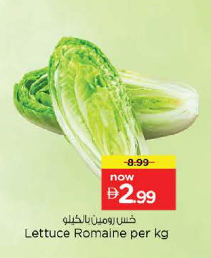 Lettuce available at نستو هايبرماركت in الإمارات العربية المتحدة , الامارات - أبو ظبي