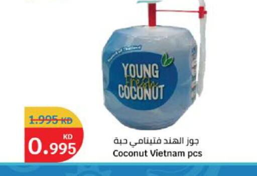 Coconut available at سيتي هايبرماركت in الكويت - محافظة الجهراء