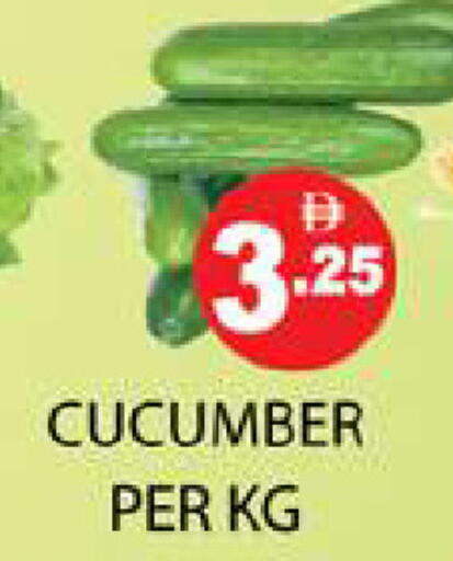 Cucumber available at Zain Mart Supermarket in UAE - Ras al Khaimah